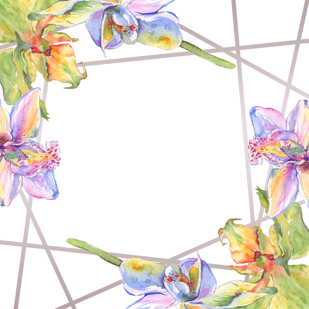 Orchid floral botanical flowers. Watercolor background illustration set. Frame border ornament square. - Photo, Image