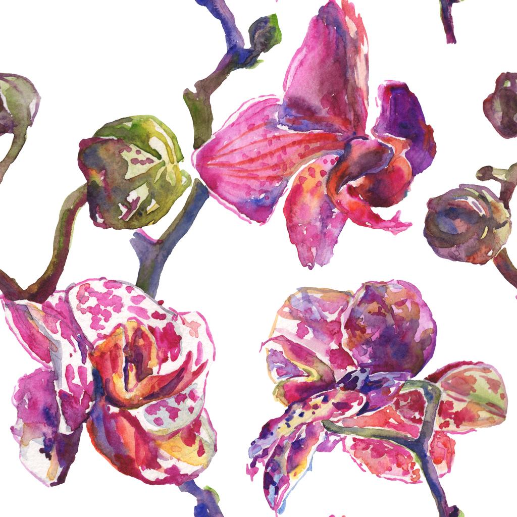 Fleurs botaniques florales d'orchidée. Ensemble d'illustration de fond aquarelle. Modèle de fond sans couture
. - Photo, image