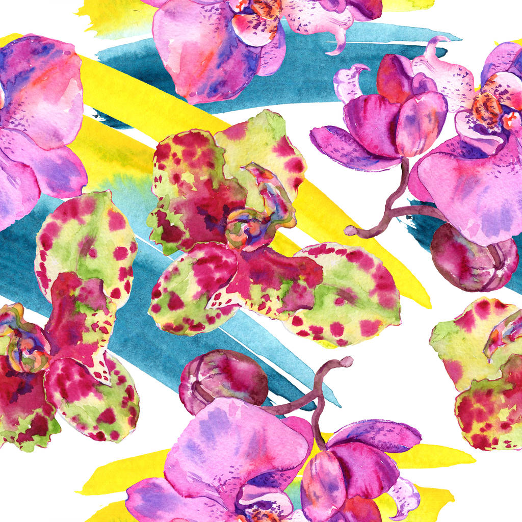 Orkide çiçek botanik çiçek. Suluboya arka plan illüstrasyon seti. Kesintisiz arka plan deseni. - Fotoğraf, Görsel
