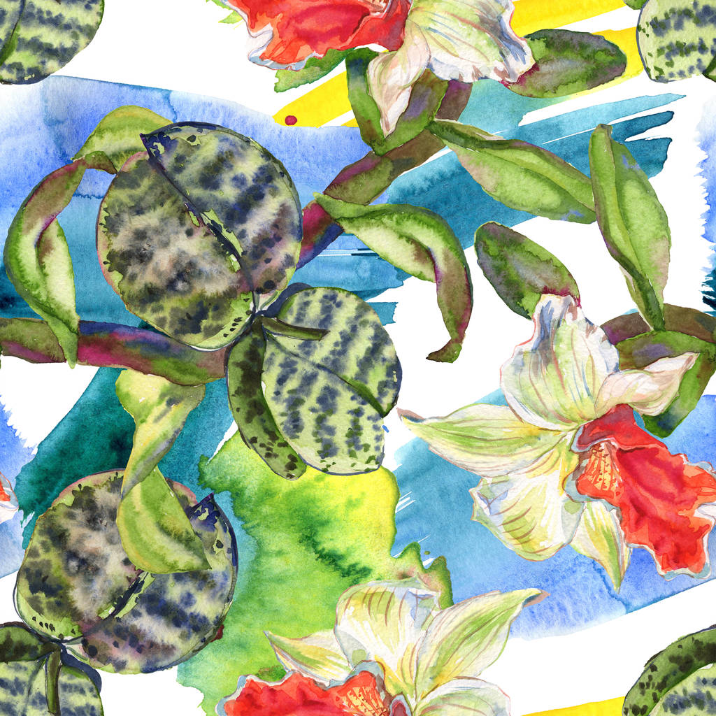 Orchidee bloemen botanische bloem. Aquarel achtergrond illustratie instellen. Naadloos achtergrond patroon. - Foto, afbeelding