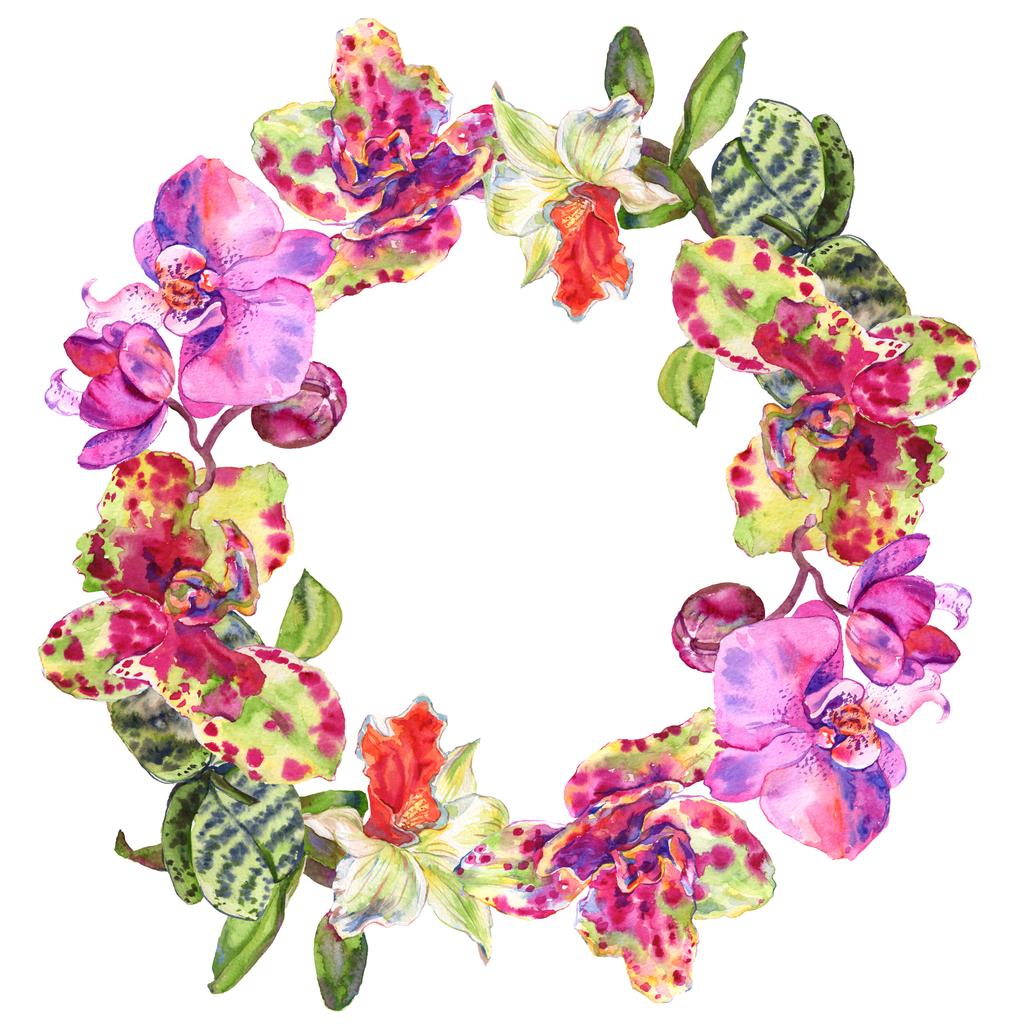 Orchidee bloemen botanische bloem. Aquarel achtergrond illustratie instellen. Frame rand ornament vierkant. - Foto, afbeelding
