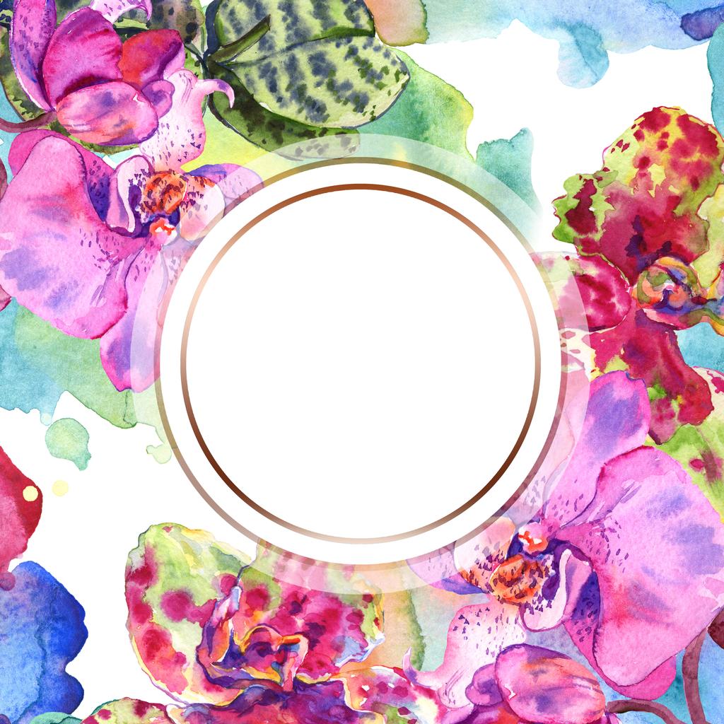 Orchidée fleur botanique florale. Ensemble d'illustration de fond aquarelle. Cadre bordure ornement carré
. - Photo, image