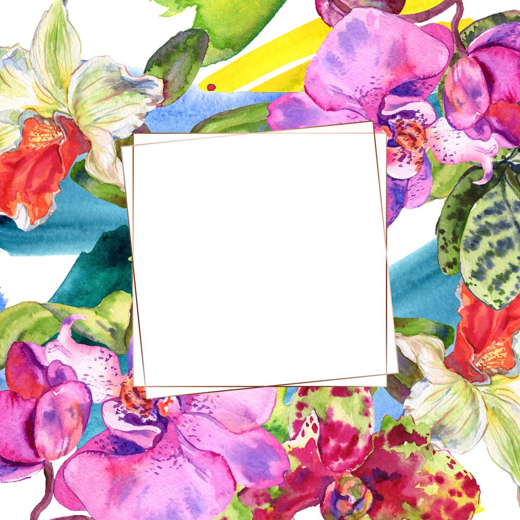 蘭の花の植物の花。●水彩背景イラストセット。フレームボーダーオーナメント正方形. - 写真・画像