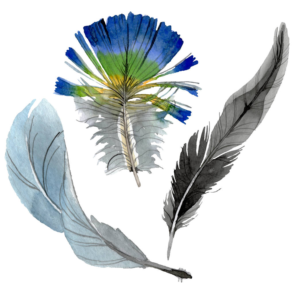 Ptačí pero od křídla izolováno. Vodný obrázek pozadí-barevný. Ukázka izolovaného pera. - Fotografie, Obrázek