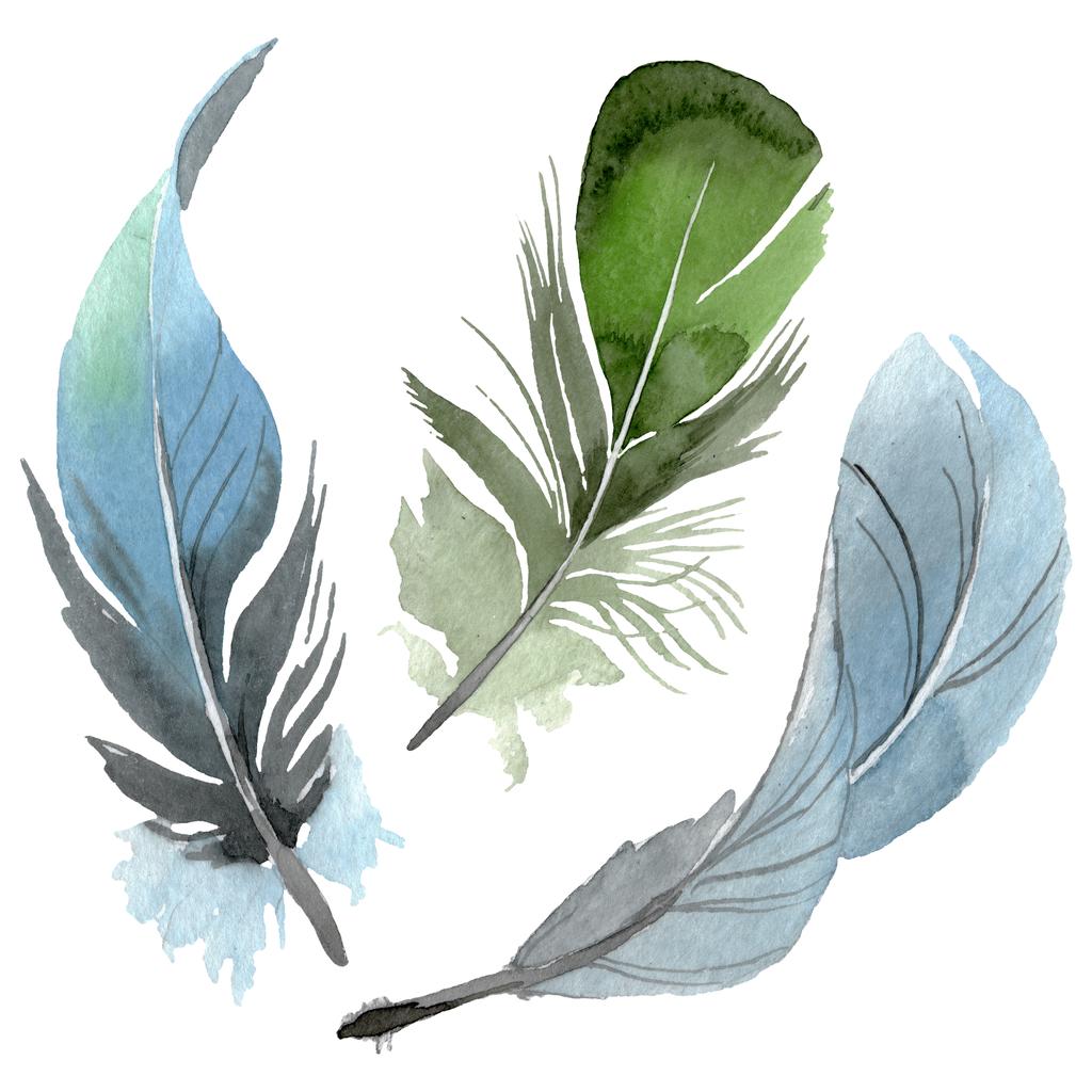 Bird feather from wing isolated. Watercolor background illustration set. Isolated feathers illustration element. - Photo, Image