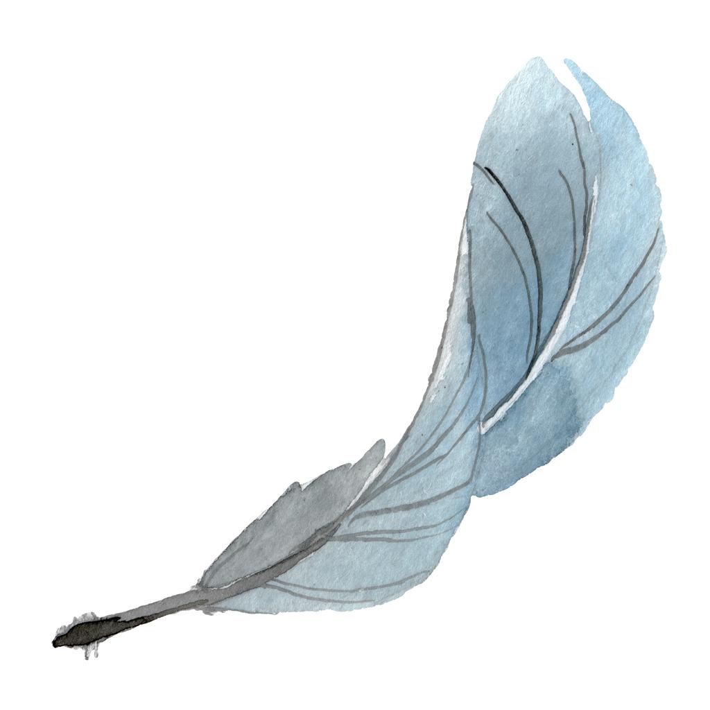 Pióro ptaka z wyizolowanego skrzydła. Akwarela zestaw ilustracji tła. Wyizolowane pióra element ilustracji. - Zdjęcie, obraz
