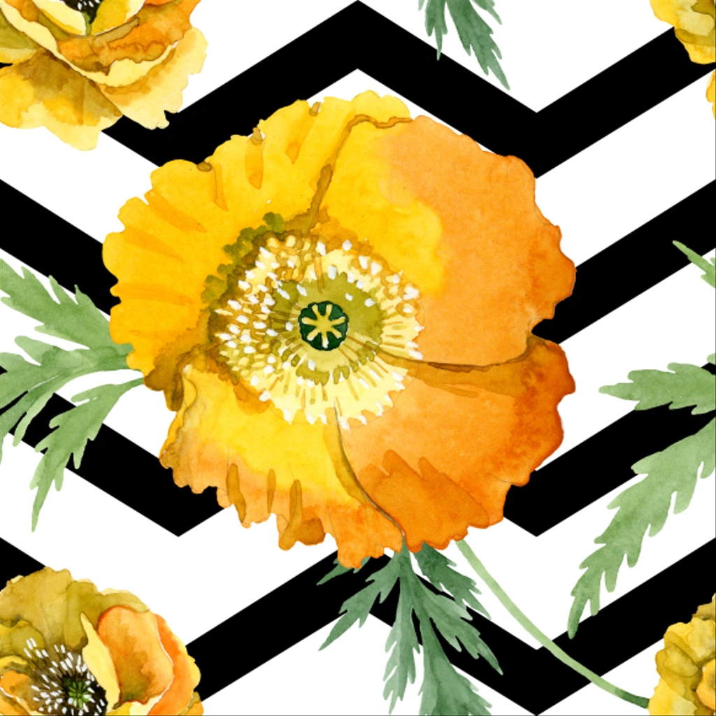 Κίτρινο παπαρούνα λουλουδιών βοτανικής. Σύνολο εικονογράφησης φόντου. Ομαλή μοτίβο φόντου. - Φωτογραφία, εικόνα