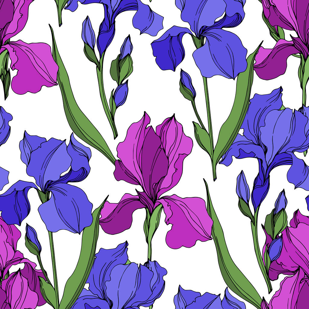 Vettore Iris fiori botanici floreali. Inchiostro inciso in bianco e nero art. Modello di sfondo senza soluzione di continuità
. - Vettoriali, immagini