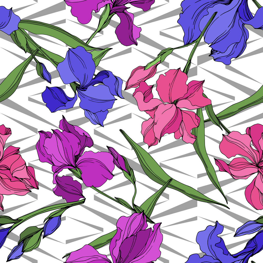 Vector Irises flores botánicas florales. Tinta grabada en blanco y negro. Patrón de fondo sin costuras
. - Vector, Imagen