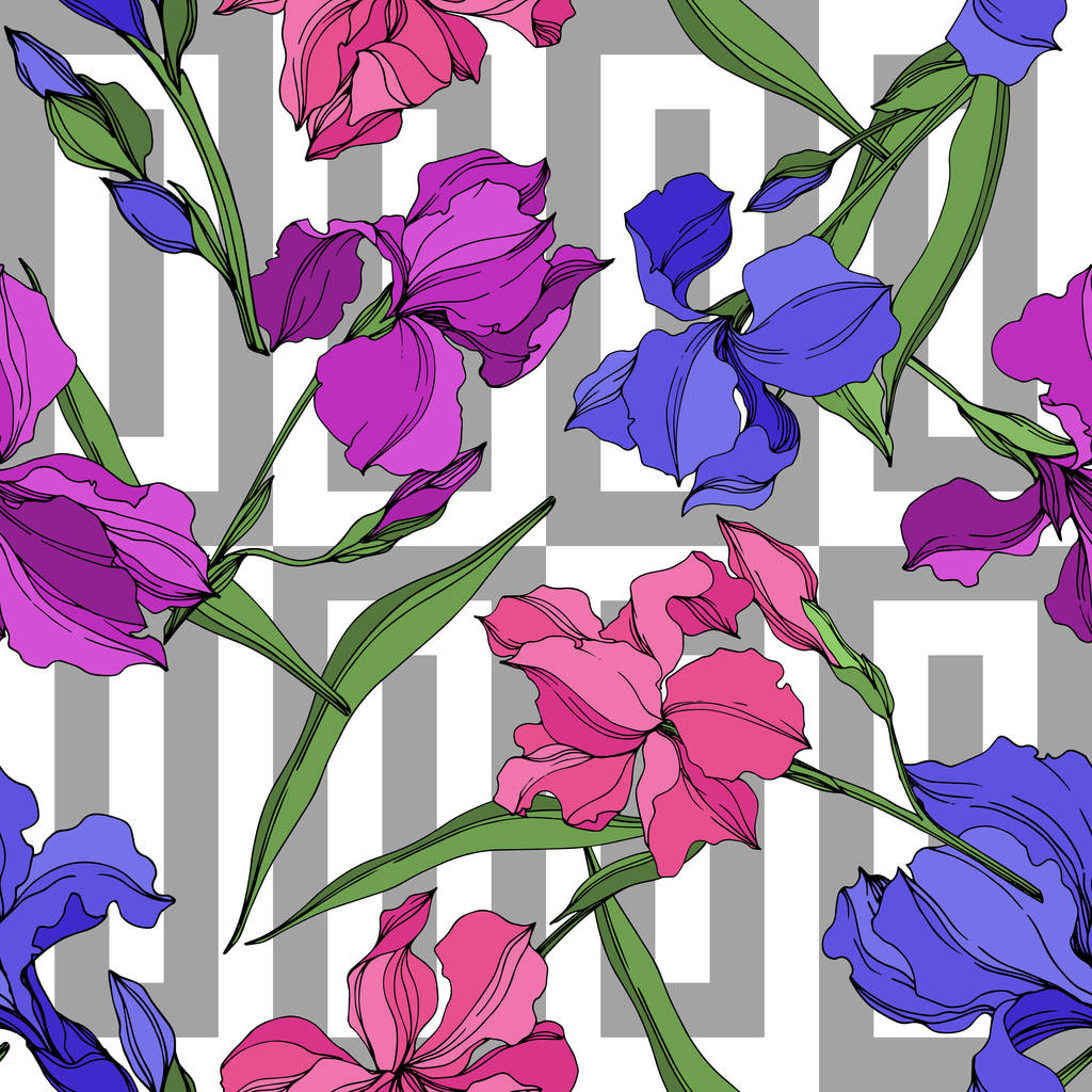 Vektorové irisy květinové botanické květy. Černé a bílé ryté inkoustem. Bezespání vzorek pozadí. - Vektor, obrázek