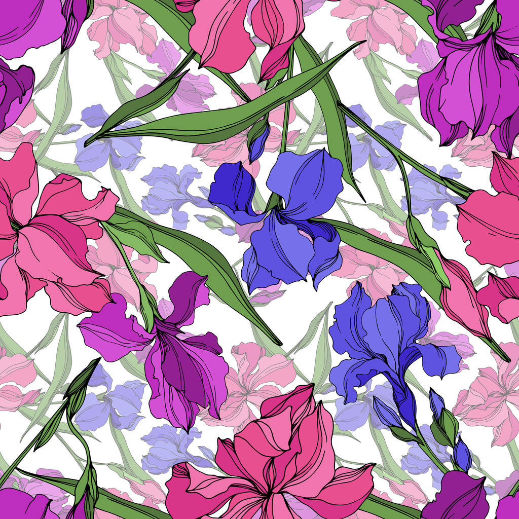 Vector Iris fleurs botaniques florales. Encre gravée en noir et blanc. Modèle de fond sans couture
. - Vecteur, image
