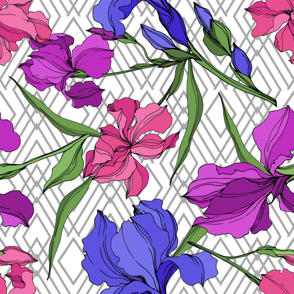 Vektör Irises çiçek botanik çiçekler. Siyah ve beyaz oyulmuş mürekkep sanatı. Kesintisiz arka plan deseni. - Vektör, Görsel