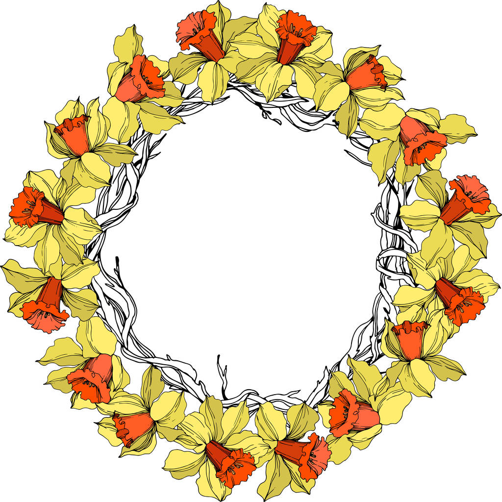 Vektor Narzisse florale botanische Blume. Gravierte Tuschekunst in gelb und orange. Rahmen Rand Ornament Quadrat. - Vektor, Bild