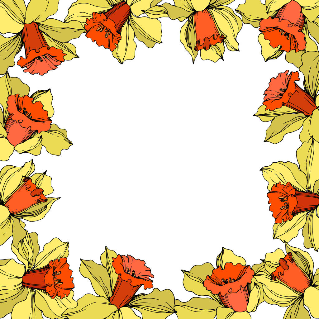 Květinové botanické květiny Vector Narcissus. Žluté a oranžové vyřezávané umělecké dílo. Orámovaná hranatá hranice. - Vektor, obrázek