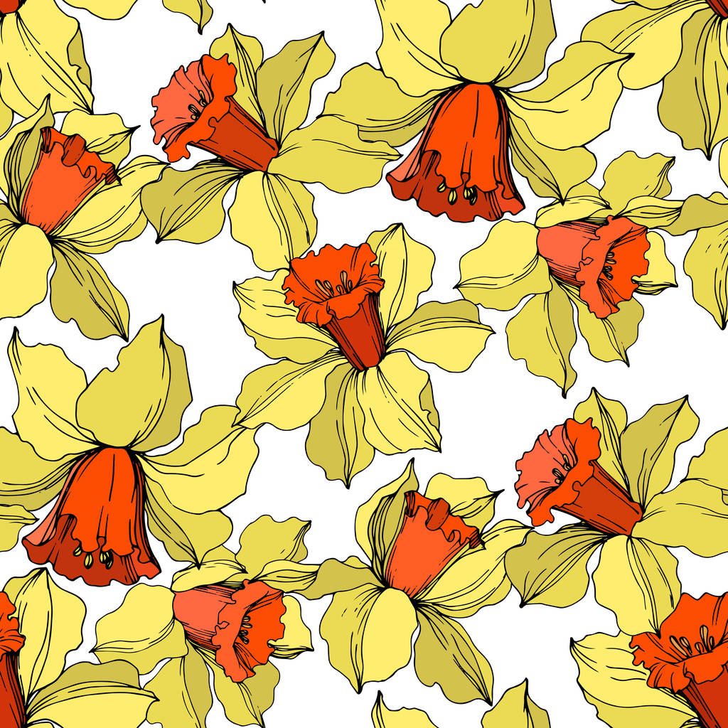 Vector Narcissus kwiatowy kwiat botaniczny. Żółta i pomarańczowa grawerowana sztuka atramentu. Płynny wzór tła. - Wektor, obraz