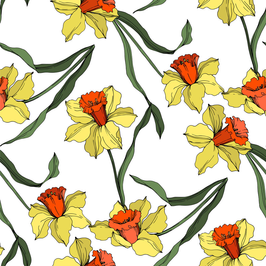 Vektor Narcissus virágos botanikus virág. Sárga és zöld gravírozott tinta művészet. Folytonos háttérmintázat. - Vektor, kép