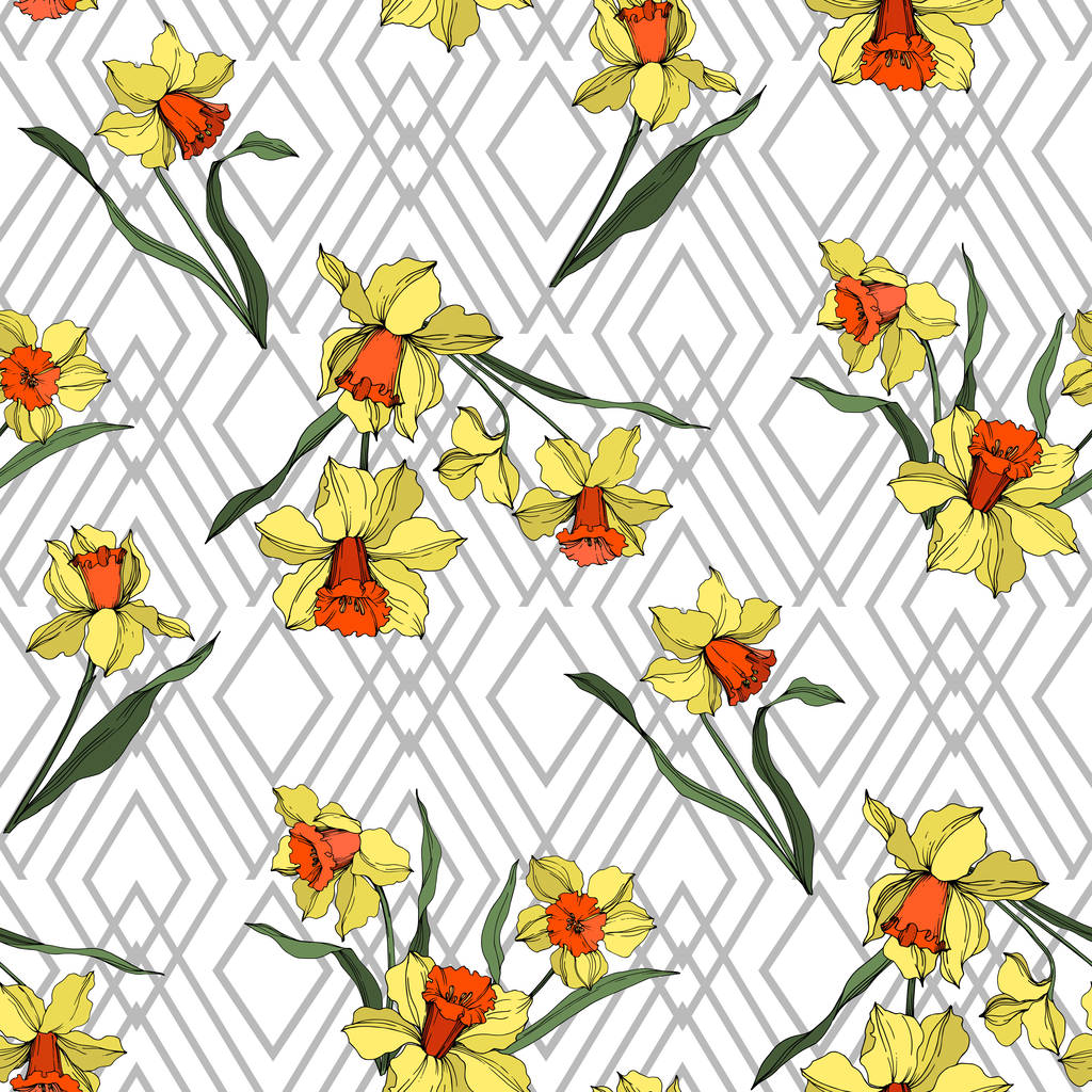 Vektori Narcissus kukka kasvitieteellinen kukka. Keltainen ja vihreä kaiverrettu muste taidetta. Saumaton taustakuvio
. - Vektori, kuva