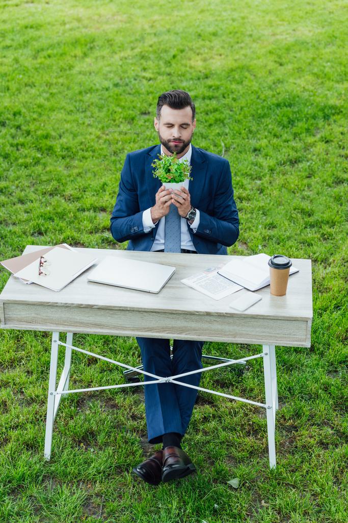 Blick aus der Vogelperspektive auf einen jungen Geschäftsmann, der Pflanzen im Blumentopf hält und hinter einem Tisch mit Laptop, Notebooks und Coffee to go sitzt - Foto, Bild