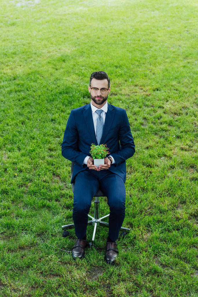 Widok z dużego kąta młodego biznesmena trzymania doniczki z rośliną siedząc w parku w fotelu biurowym - Zdjęcie, obraz