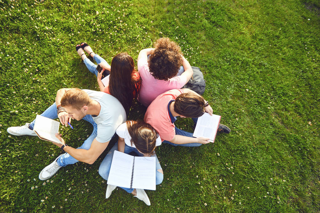Студенти вчаться сидіти на зеленій траві в парку влітку навесні
. - Фото, зображення