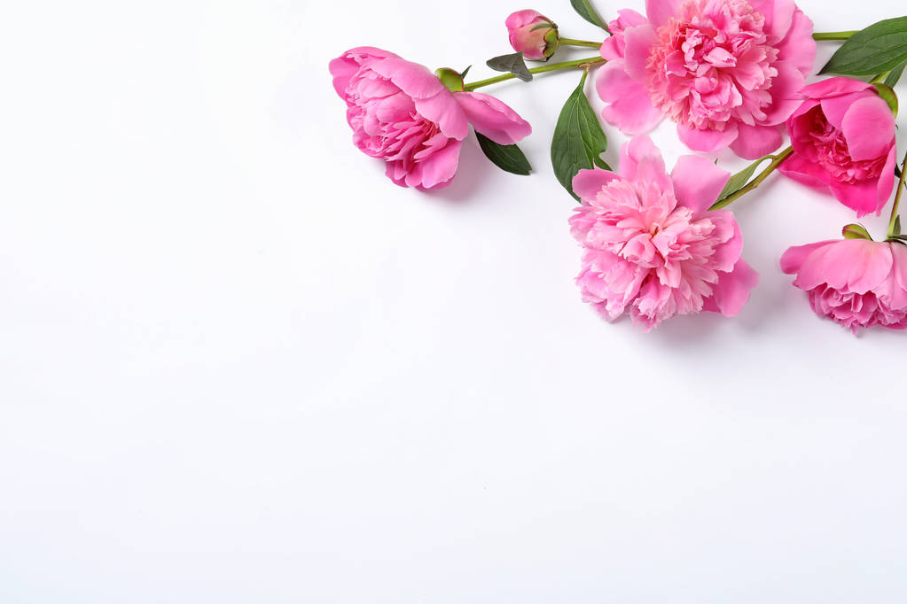 schöne Pfingstrosenblüten auf weißem Hintergrund, Draufsicht - Foto, Bild