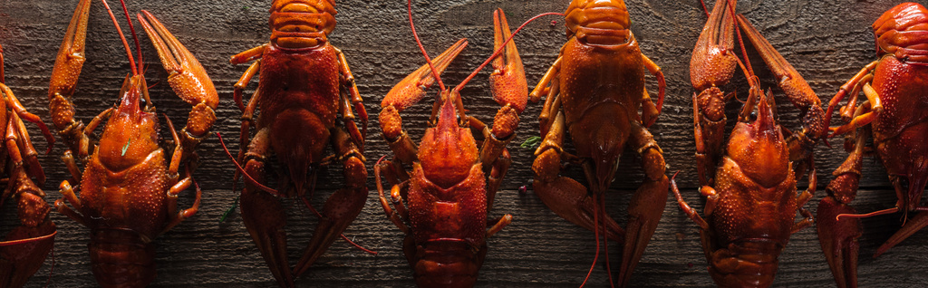 panoramic shot of red lobsters on wooden surface - Photo, Image