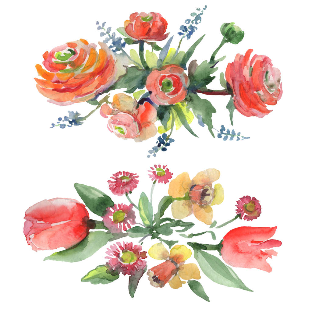 Květinové botanické květiny. Vodný obrázek pozadí-barevný. Izolované kytice, ilustrace prvku. - Fotografie, Obrázek
