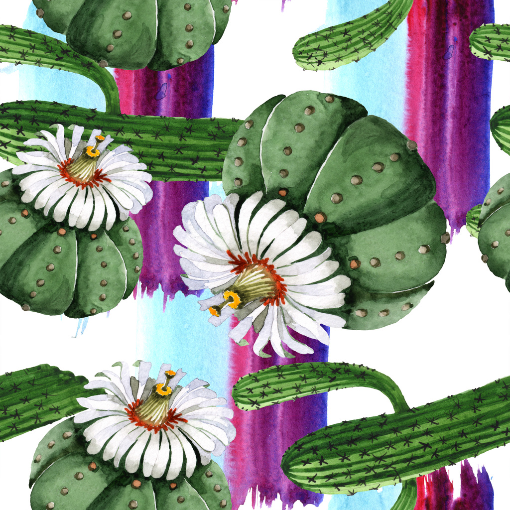 Πράσινο λουλούδι λουλουδιών κάκτου. Σύνολο εικονογράφησης φόντου. Ομαλή μοτίβο φόντου. - Φωτογραφία, εικόνα