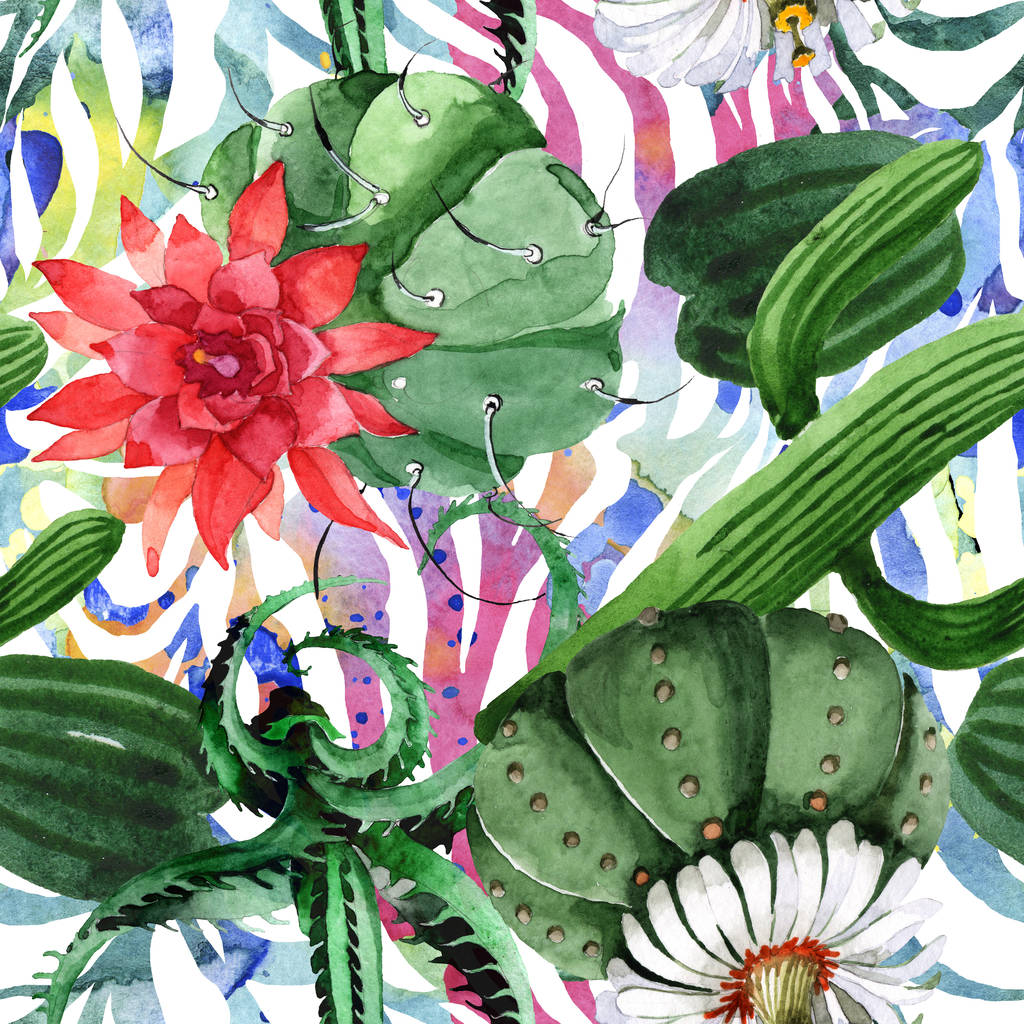 Vihreä kaktus kukka kasvitieteellinen kukka. Vesiväri tausta kuvitussarja. Saumaton taustakuvio
. - Valokuva, kuva