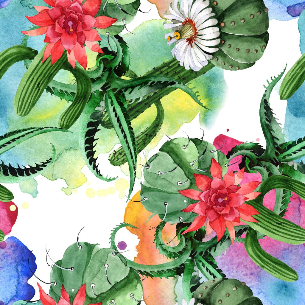 Zöld kaktusz virágos botanikus virág. Akvarell háttér illusztráció meg. Folytonos háttérmintázat. - Fotó, kép