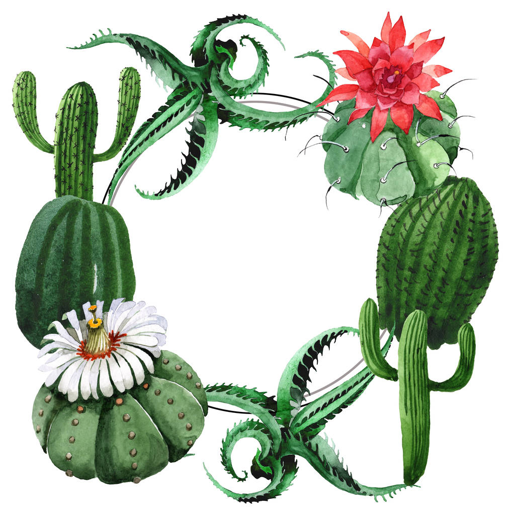 Flor botánica floral de cactus verde. Conjunto de ilustración de fondo acuarela. Marco borde ornamento cuadrado
. - Foto, imagen