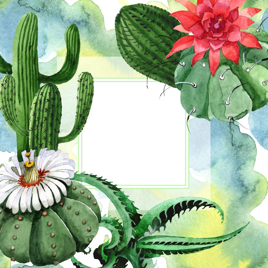Green cactus floral botanical flower. Watercolor background illustration set. Frame border ornament square. - Photo, Image