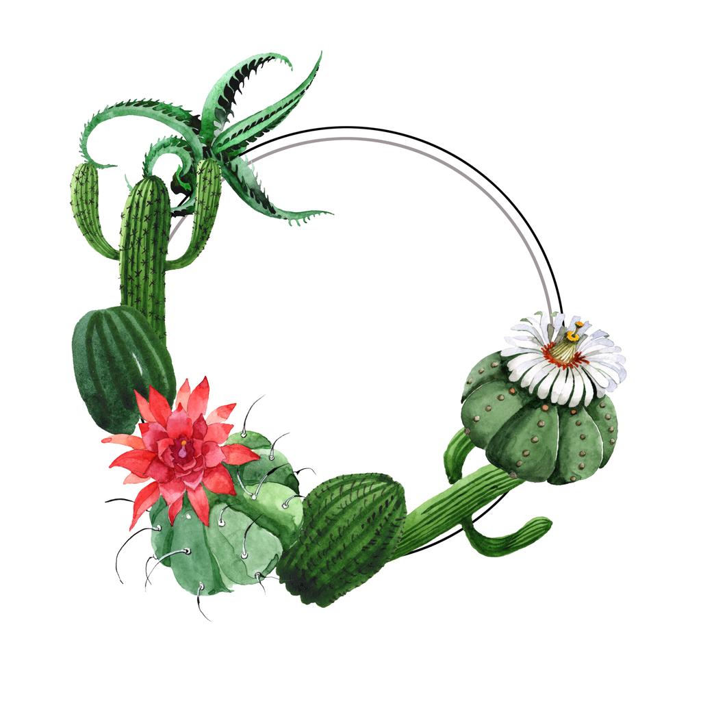 Flor botânica floral cacto verde. Conjunto de ilustração de fundo aquarela. Quadro borda ornamento quadrado
. - Foto, Imagem