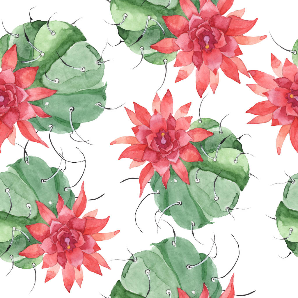 Zielony kaktus kwiatowy kwiat botaniczny. Akwarela zestaw ilustracji tła. Płynny wzór tła. - Zdjęcie, obraz