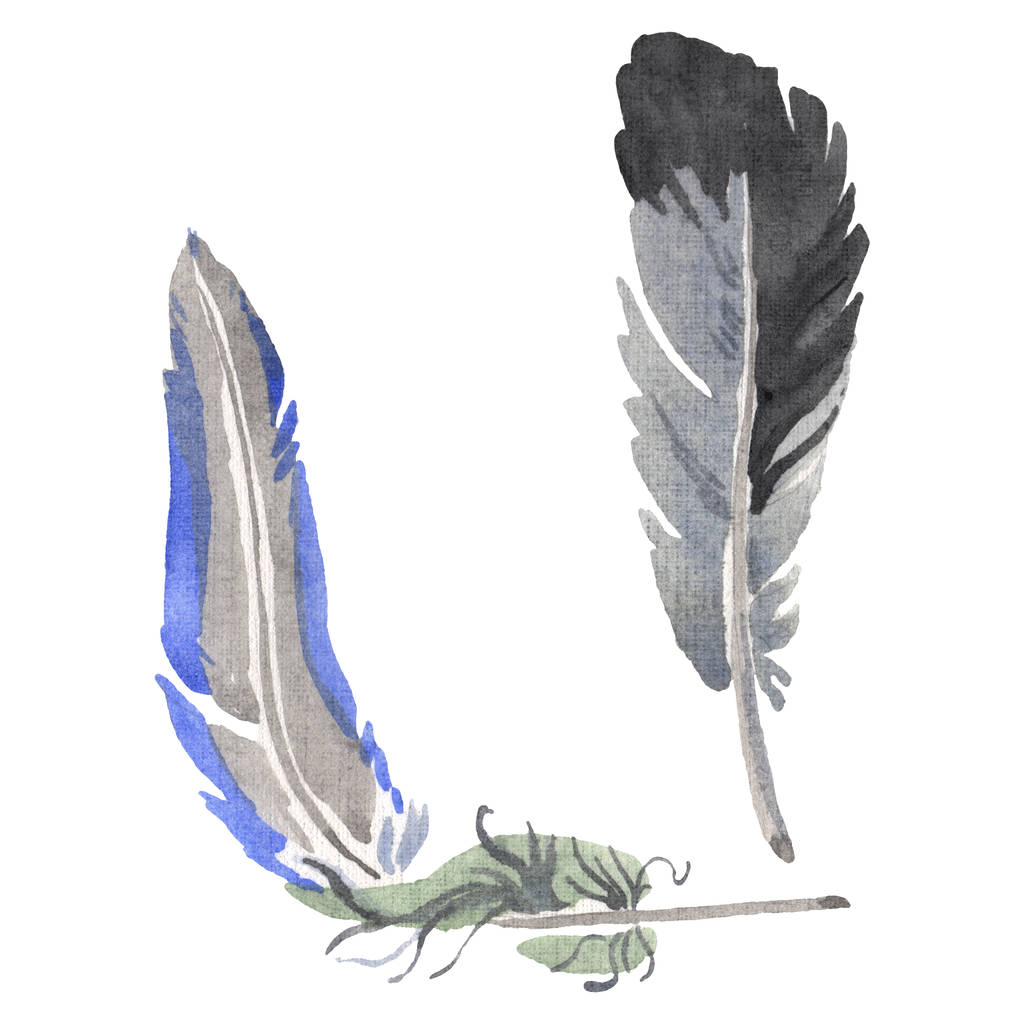 Plume d'oiseau aquarelle de l'aile isolée. Plume Aquarelle pour fond. Élément isolé d'illustration de plumes
. - Photo, image