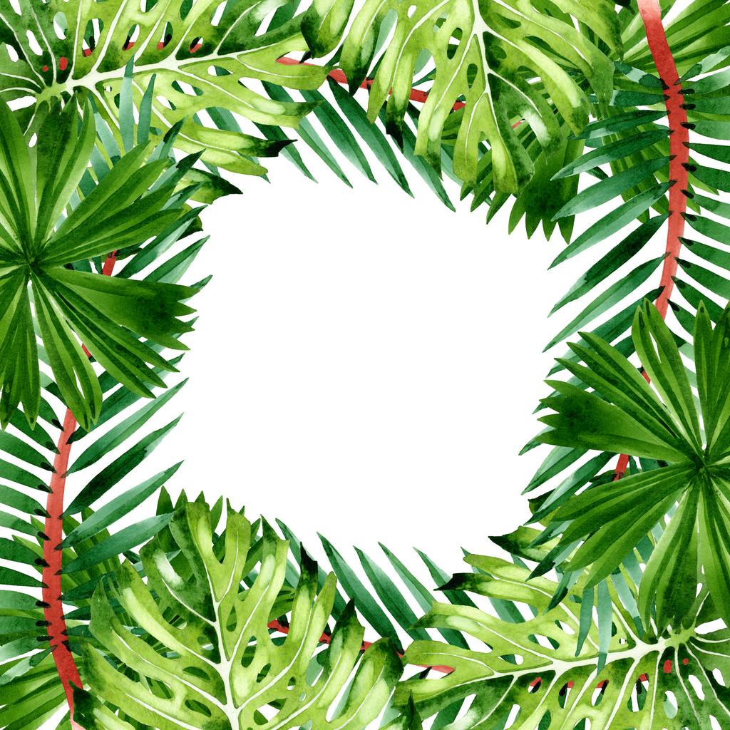 エキゾチックな熱帯ハワイの夏 パームビーチの木はジャングルの植物を残します 水彩背景イラストセット 水彩画ファッションアクアレル孤立 フレームボーダーオーナメント正方形 ロイヤリティフリー写真 画像素材