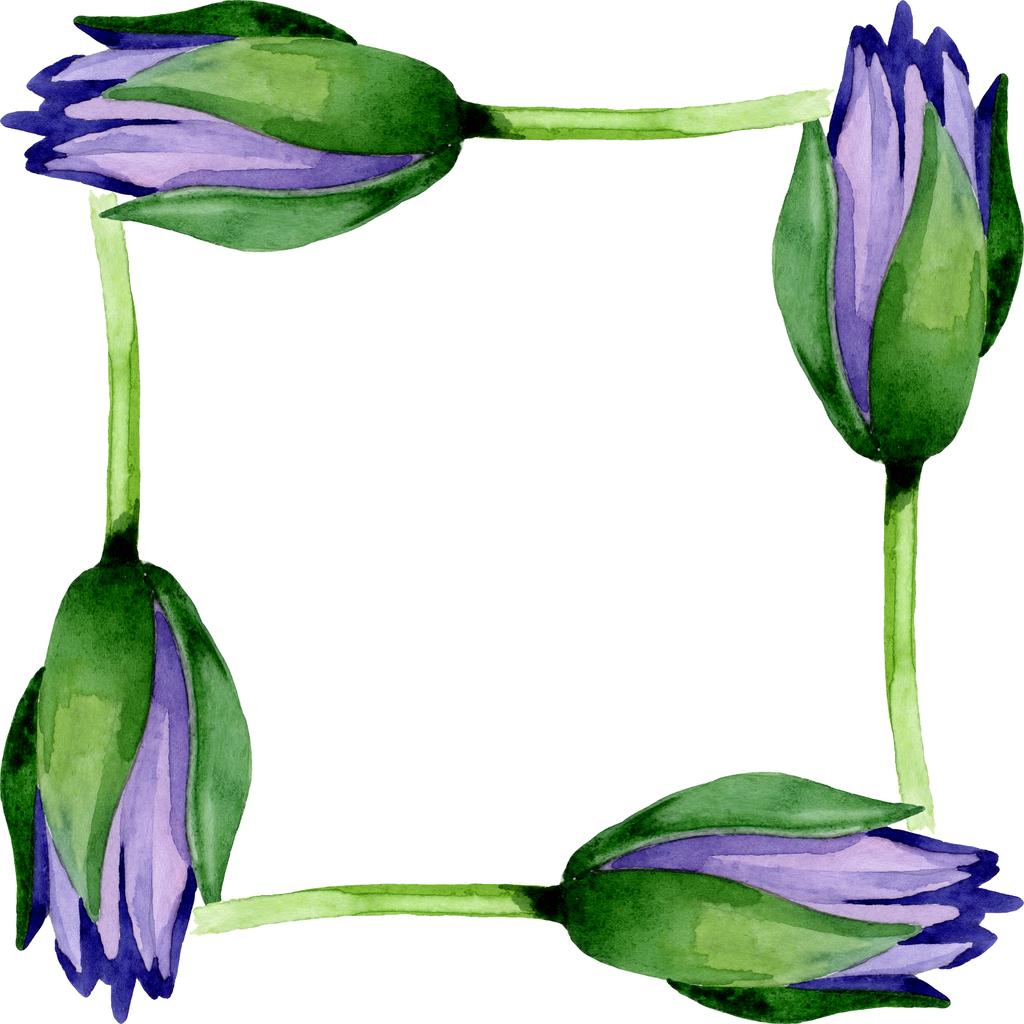 Foto e imagen de stock sin royalties de Flores Botánicas De Loto Azul. Flor  Silvestre