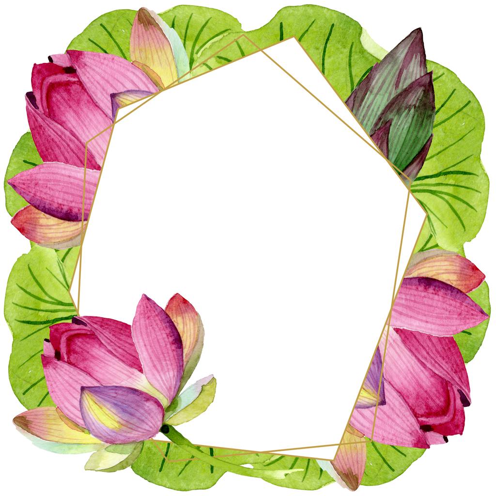 ピンクの蓮の花の植物の花。●水彩背景イラストセット。フレームボーダーオーナメント正方形. - 写真・画像