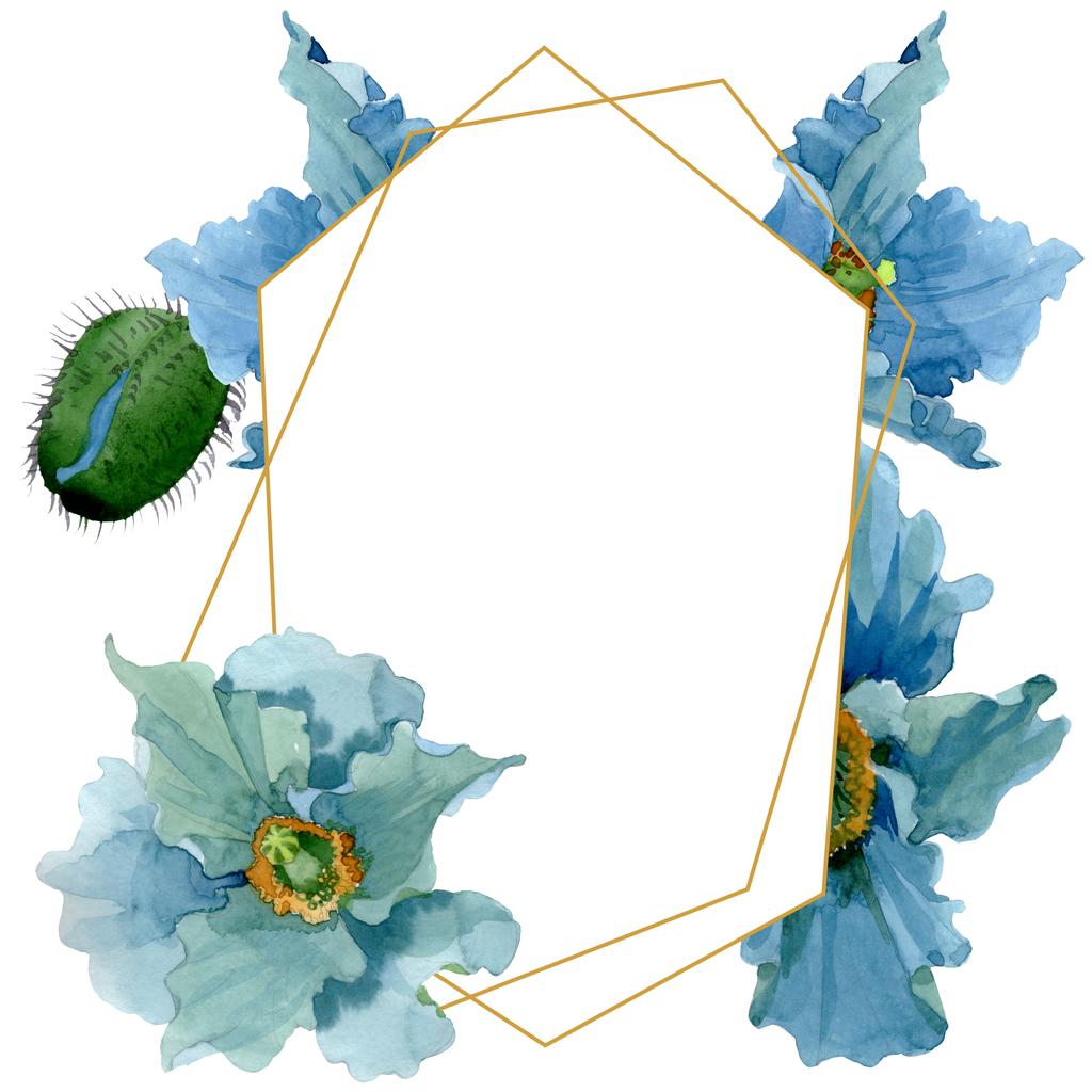 Flores botánicas florales de amapola azul. Conjunto de ilustración de fondo acuarela. Marco borde ornamento cuadrado
. - Foto, Imagen