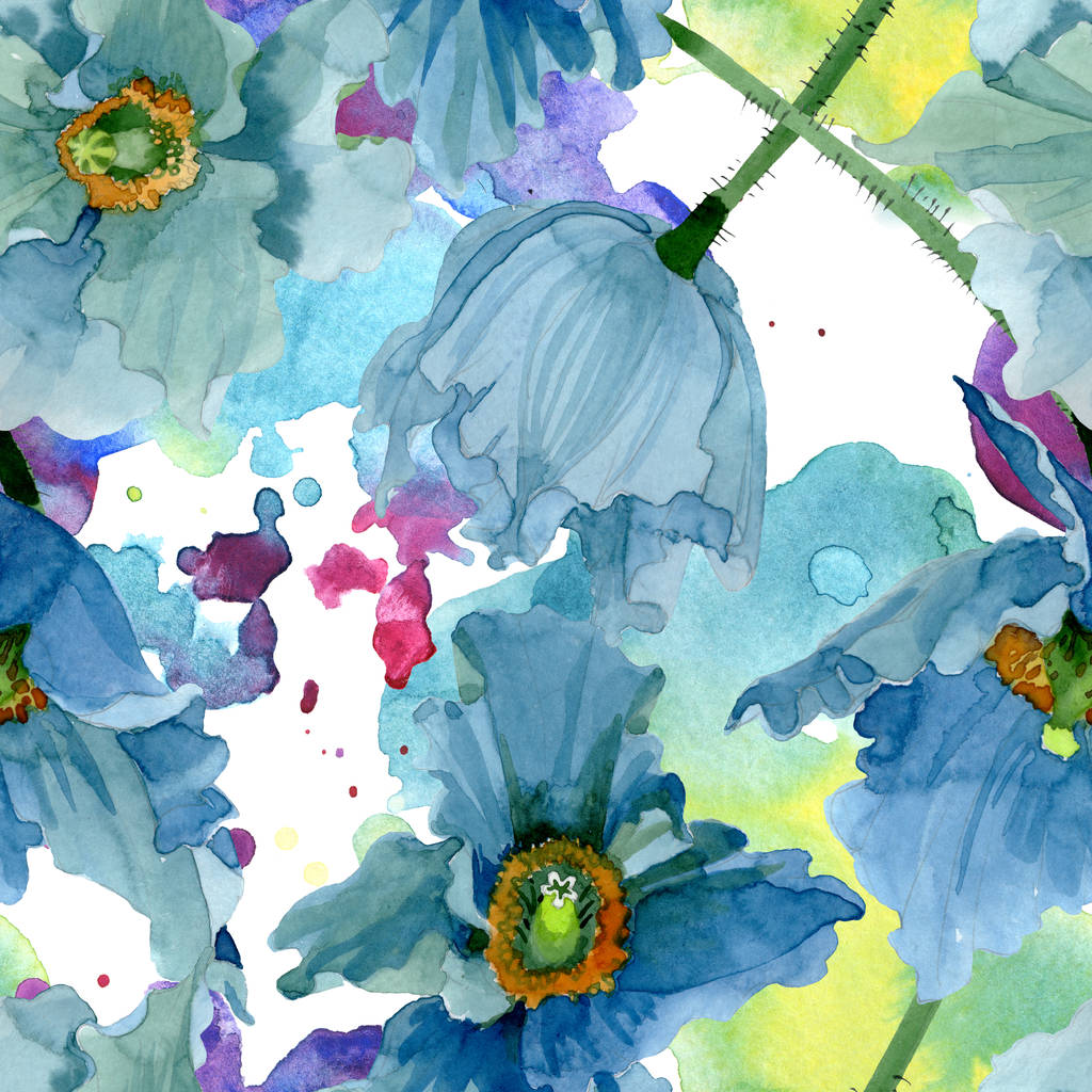 Fleurs botaniques florales de pavot bleu. Ensemble d'illustration de fond aquarelle. Modèle de fond sans couture
. - Photo, image