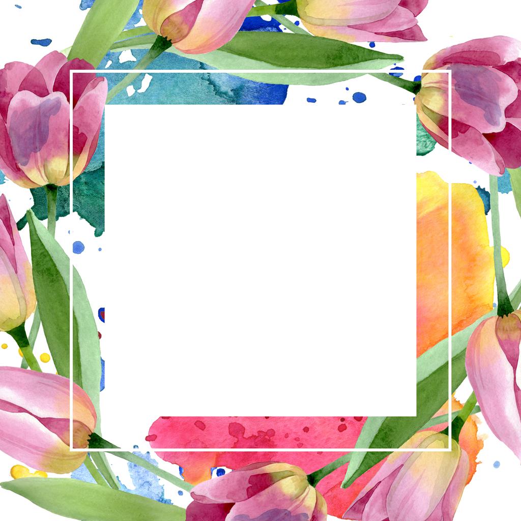 ピンクのチューリップ花植物の花 野生の春の葉の野生の花が孤立しました 水彩背景イラストセット 水彩画ファッションアクアレル孤立 フレームボーダーオーナメント正方形 ロイヤリティフリー写真 画像素材
