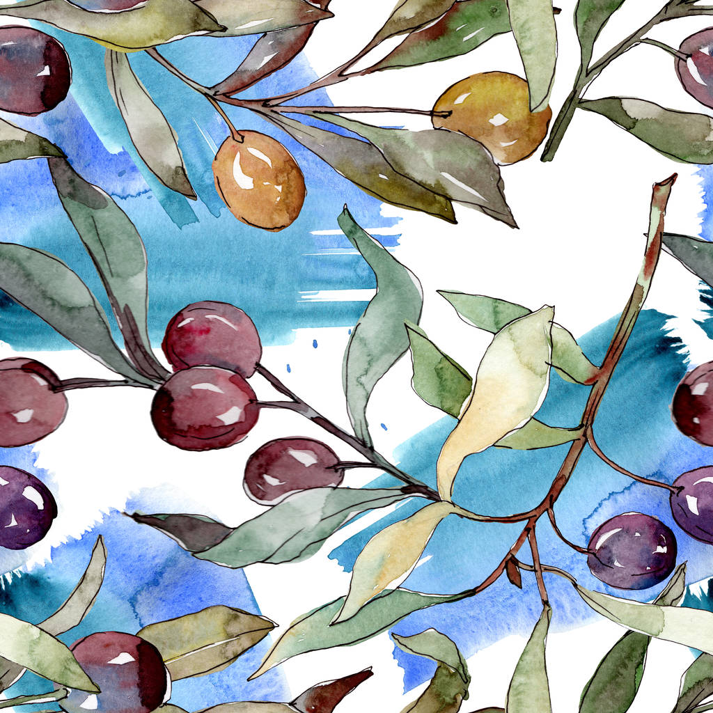 Branche d'olivier aux fruits noirs et verts. Ensemble d'illustration de fond aquarelle. Modèle de fond sans couture
. - Photo, image