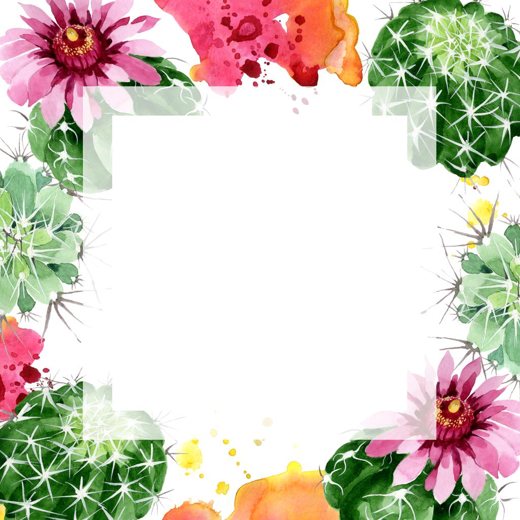 緑のサボテンの花の植物の花。●水彩背景イラストセット。フレームボーダーオーナメント正方形. - 写真・画像