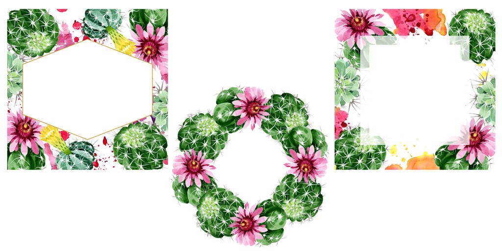 Fleurs botaniques florales de cactus vert. Ensemble d'illustration de fond aquarelle. Cadre bordure ornement carré
. - Photo, image