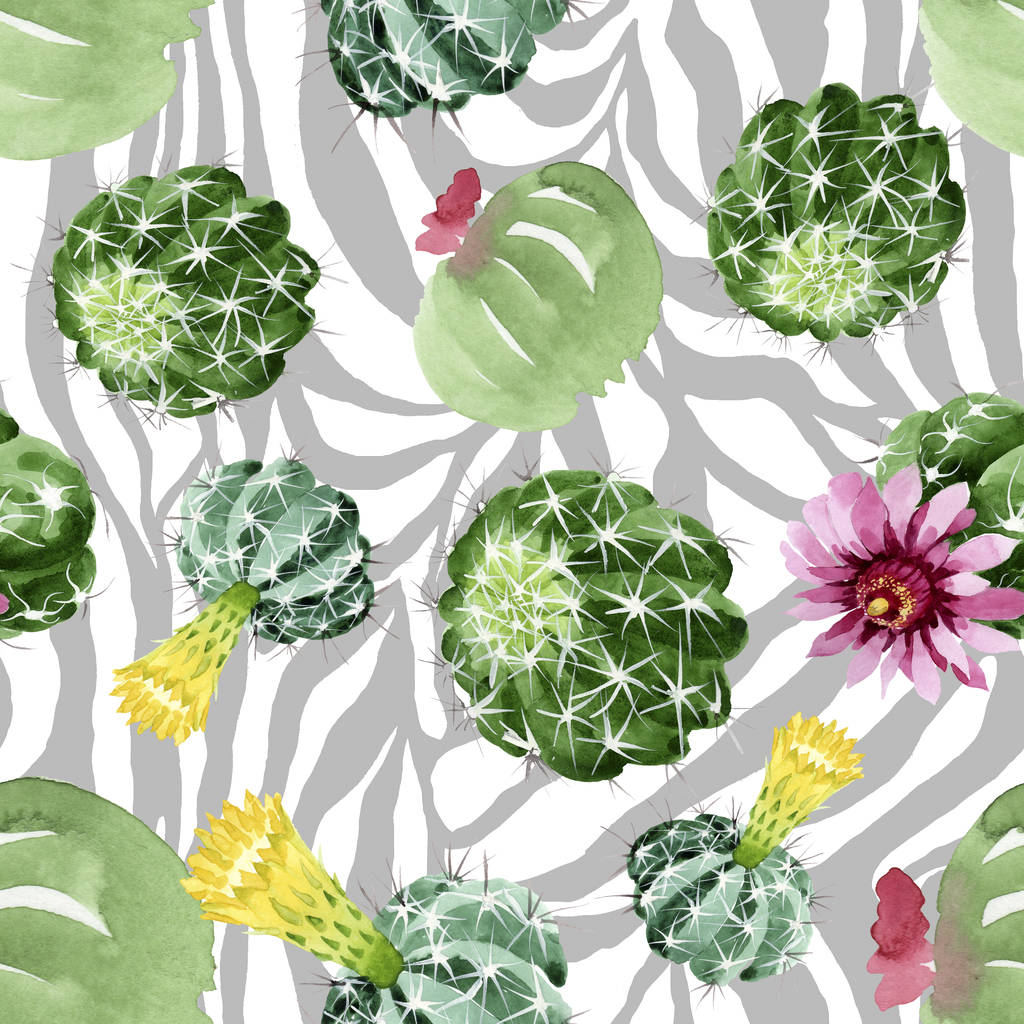 Zelené kaktus květinové botanické květy. Vodný obrázek pozadí-barevný. Bezespání vzorek pozadí. - Fotografie, Obrázek