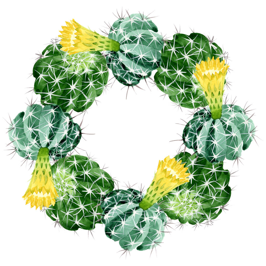 Zielony kaktus kwiatowy kwiatów botanicznych. Akwarela zestaw ilustracji tła. Obramowanie ramy ornament kwadrat. - Zdjęcie, obraz