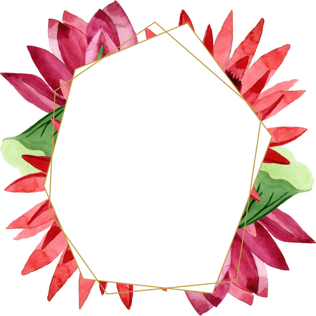 Rode lotusbloemen botanische bloem. Aquarel achtergrond illustratie instellen. Frame rand ornament vierkant. - Foto, afbeelding