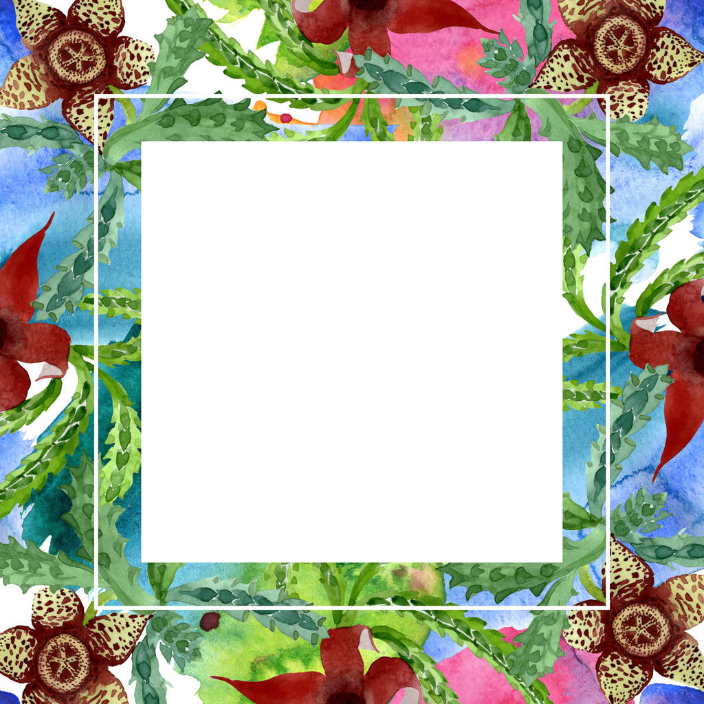Zöld kaktusz virágos botanikus virág. Akvarell háttér illusztráció meg. Keretszegély Dísz tér. - Fotó, kép