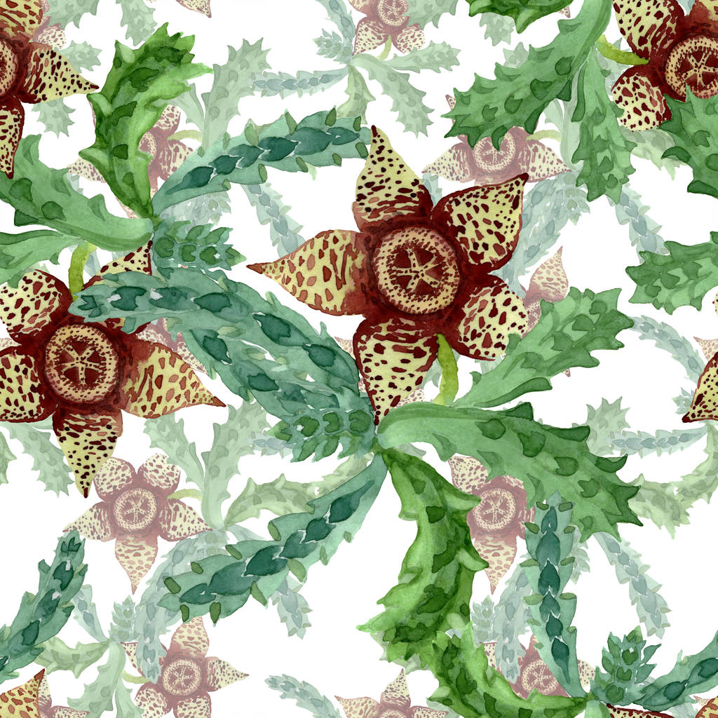 Fiore botanico floreale di cactus verde. Acquerello sfondo illustrazione set. Modello di sfondo senza soluzione di continuità
. - Foto, immagini