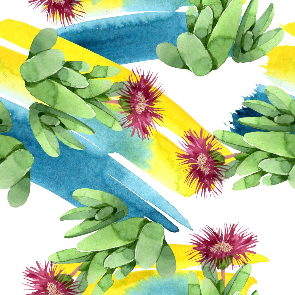 Flor botánica floral de cactus verde. Conjunto de ilustración de fondo acuarela. Patrón de fondo sin costuras
. - Foto, Imagen